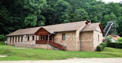 Bányászati Múzeum, Őslény- és Kőzettár