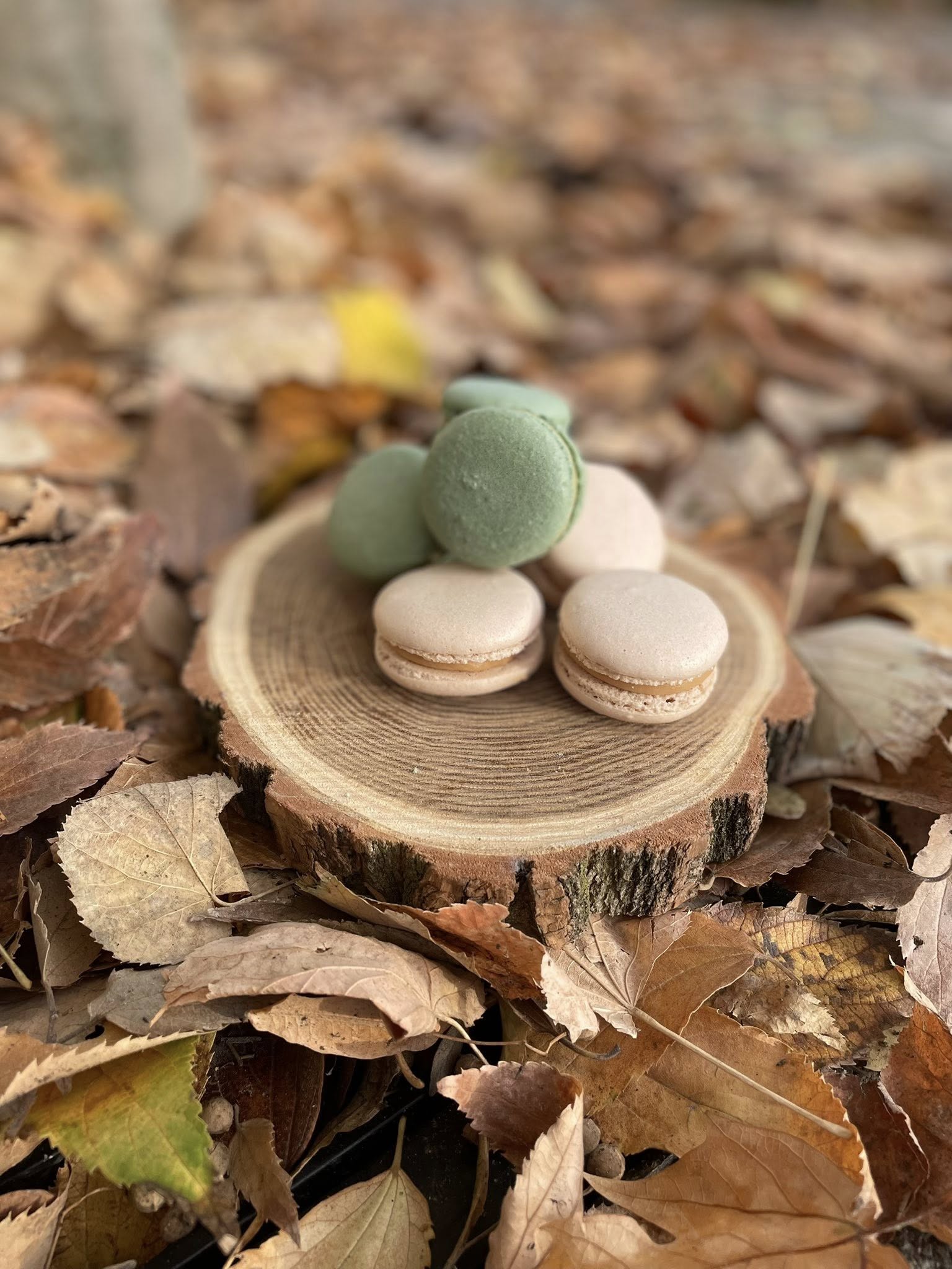 macaronok